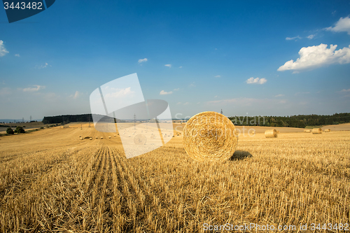 Image of Beautiful landscape with straw bales in harvested fields