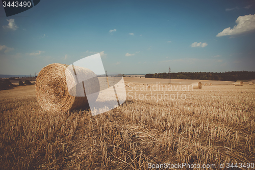 Image of retro color of straw bales in harvested fields