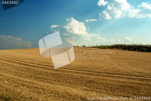 Image of Beautiful landscape with harvested field
