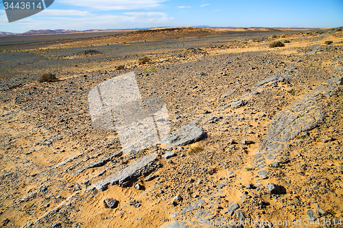 Image of  old fossil in  the desert of  stone sky