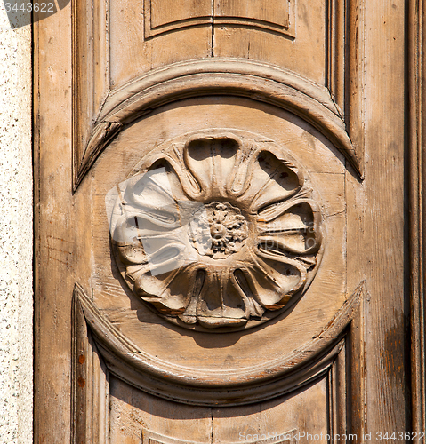 Image of abstract    closed wood lombardy   varese lonate pozzolo