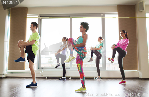 Image of group of smiling people exercising in gym