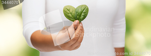 Image of closeup woman hand with green sprout