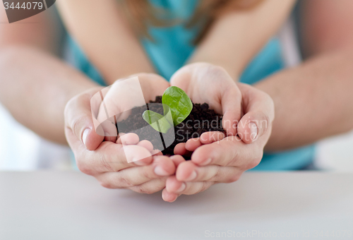 Image of close up of father and girl hands holding sprout