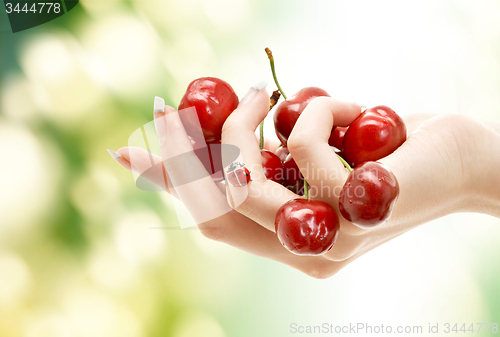 Image of female hand full of red cherries