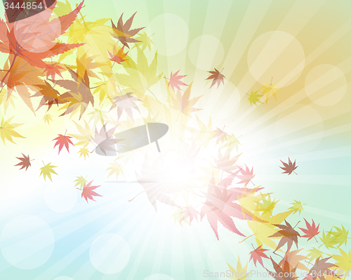 Image of Autumn  Frame