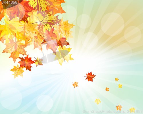 Image of Autumn  Frame