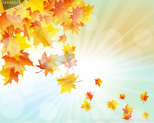 Image of Autumn  Frame