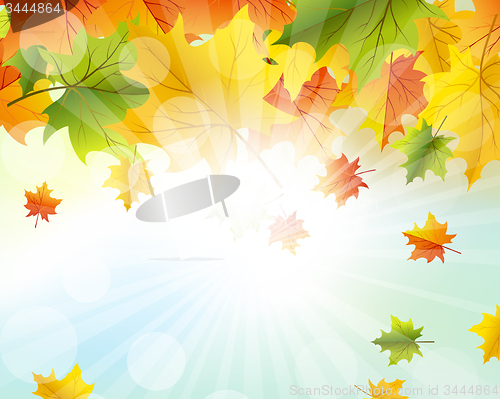 Image of Autumn  Frame