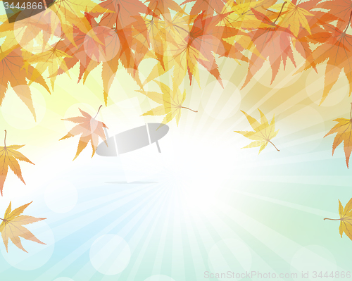 Image of Autumn  Frame