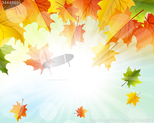 Image of Autumn  Frame
