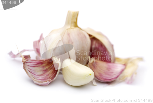 Image of Garlic