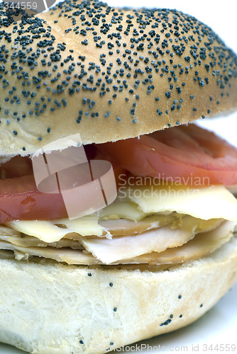Image of turkey sandwich