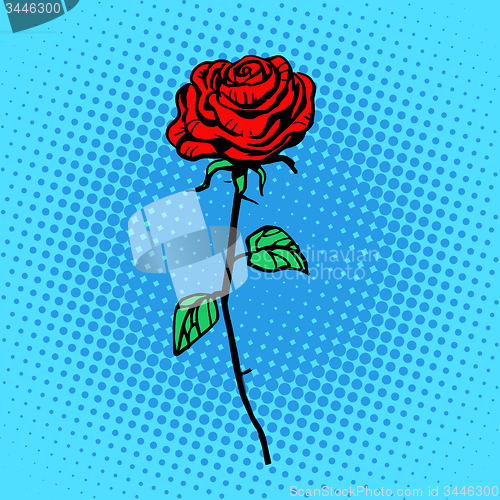 Image of Flower red rose stem with thorns