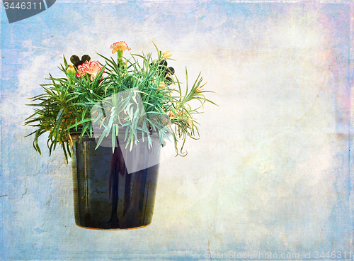 Image of Carnations in a pot on artistic background