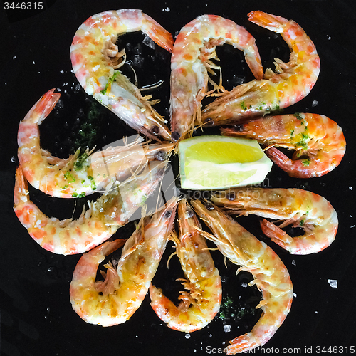 Image of Grilled shrimps of black plate