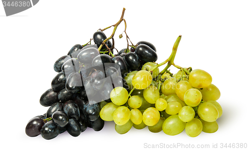 Image of Two bunches of grapes