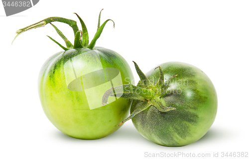 Image of Two green tomatoes near