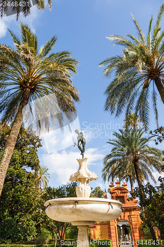 Image of Seville Alcazar Garden