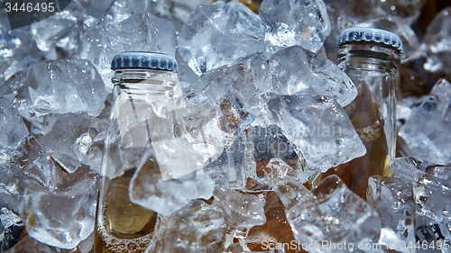 Image of Bottle of beer is in ice