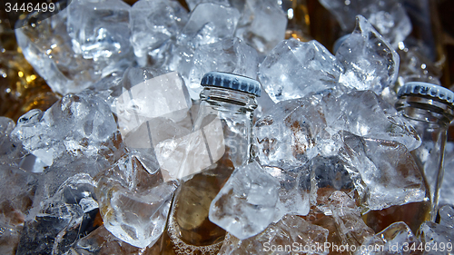 Image of Bottle of beer is in ice