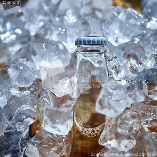 Image of Bottle of beer is in ice