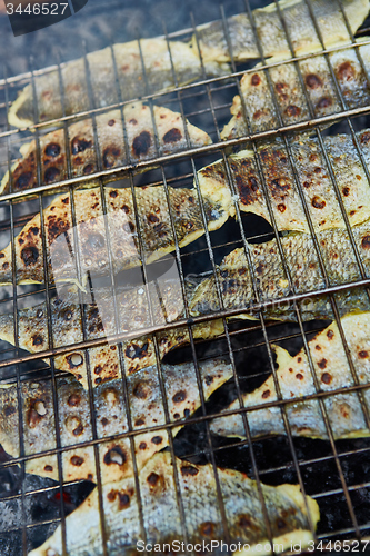 Image of Grilling fish on campfire