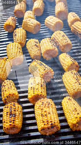 Image of Organic Grilled Corn