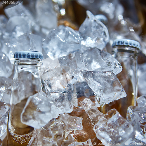 Image of Bottle of beer is in ice