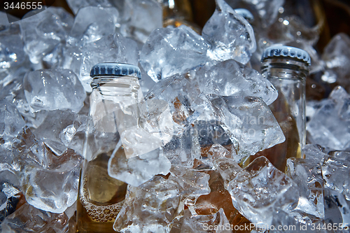 Image of Bottle of beer is in ice