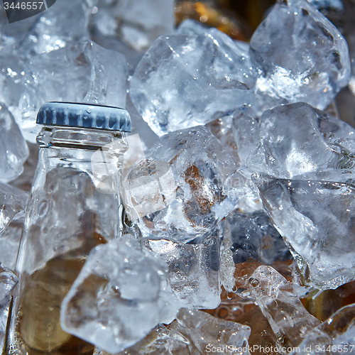 Image of Bottle of beer is in ice