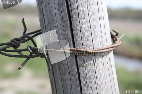 Image of pole and barbwire