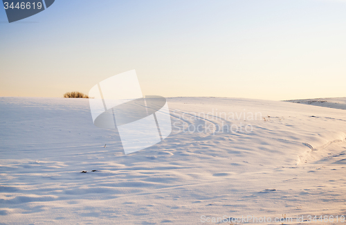 Image of snow-covered field  