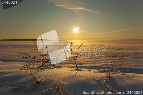 Image of winter field 