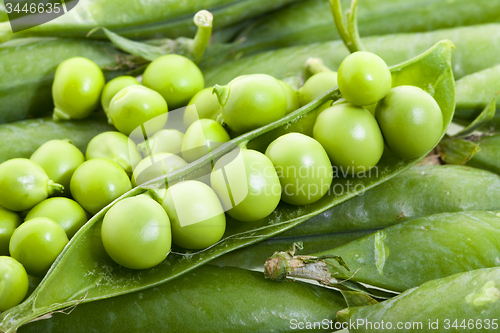 Image of   green peas closeup