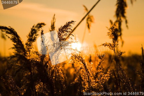 Image of  time of sunset