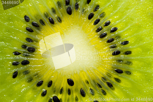 Image of  Kiwi fruit