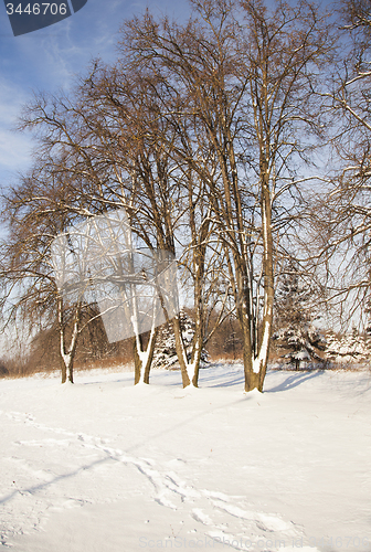 Image of park in the winter  