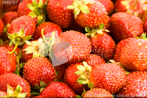 Image of   strawberry 