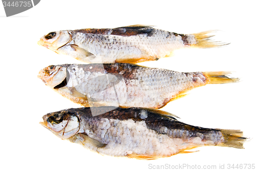 Image of dried fish 