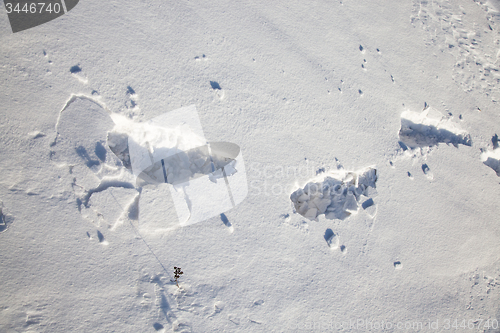 Image of human footprints on sneu