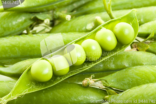 Image of   green peas closeup