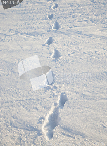 Image of traces on snow  