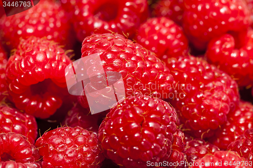 Image of   red raspberries 