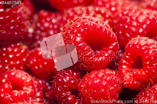Image of ripe raspberry 