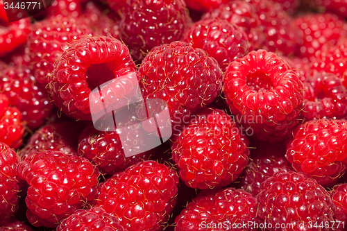 Image of ripe raspberry 