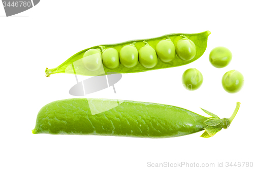 Image of   green peas closeup