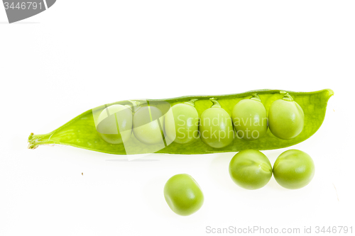 Image of   green peas closeup