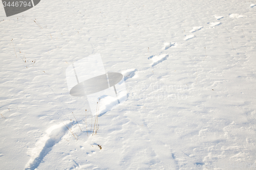 Image of human footprints on sneu