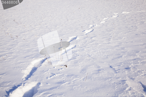 Image of traces on snow  